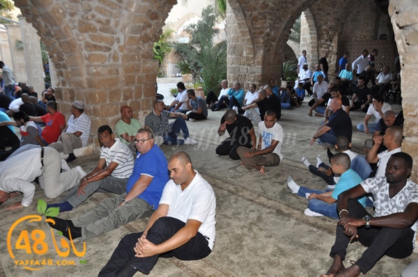 3ed ad7a ma7modiya (12).JPG